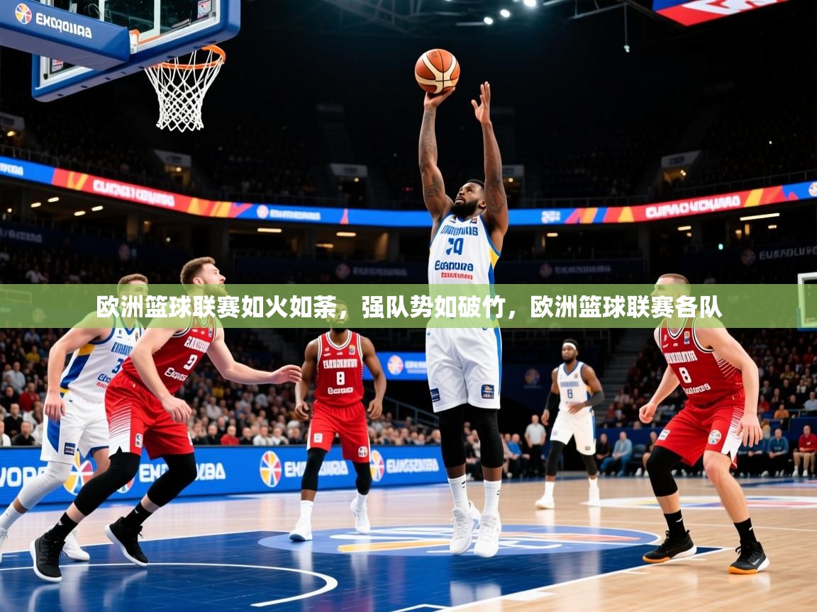 2025迈博体育欧洲篮球联赛如火如荼，强队势如破竹，欧洲篮球联赛各队  第2张