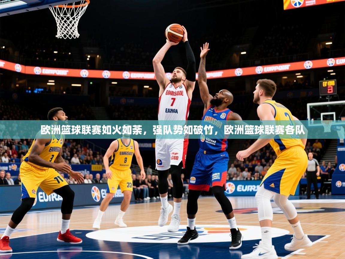 2025迈博体育欧洲篮球联赛如火如荼，强队势如破竹，欧洲篮球联赛各队  第3张