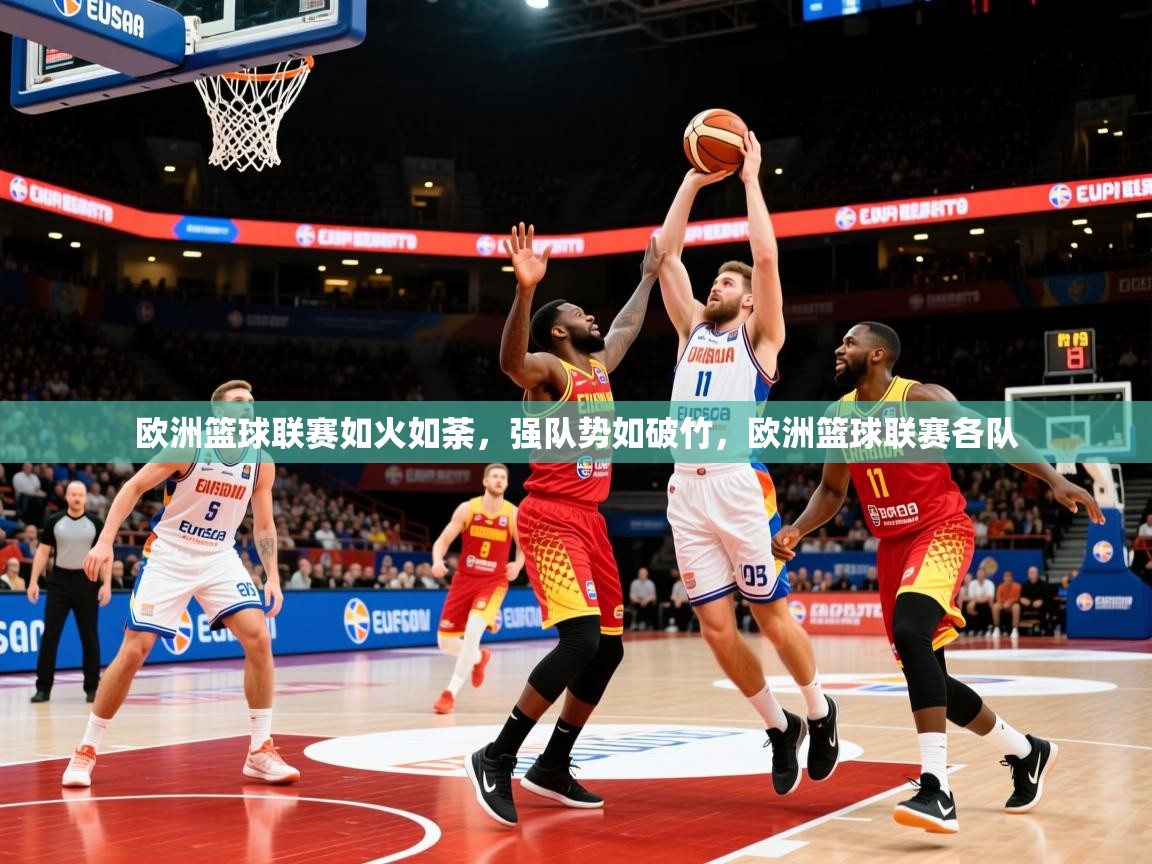 2025迈博体育欧洲篮球联赛如火如荼，强队势如破竹，欧洲篮球联赛各队  第4张
