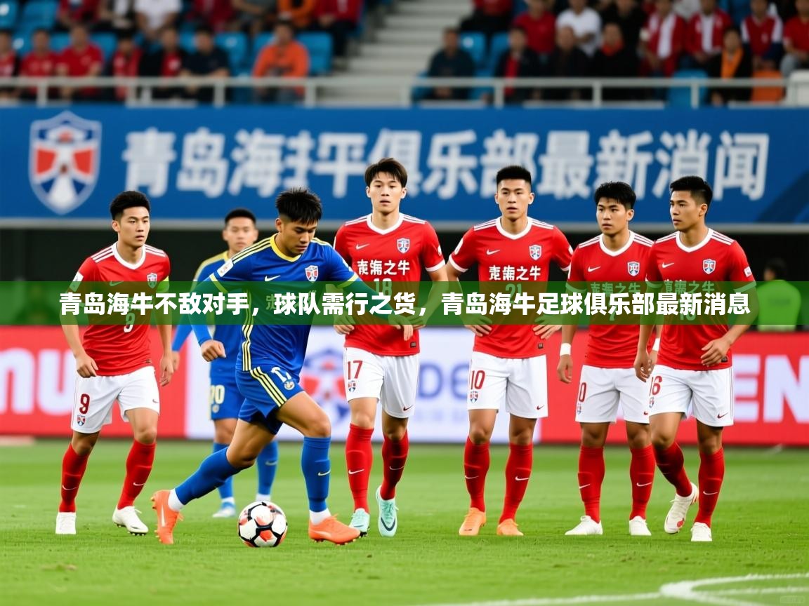 2025迈博体育投注青岛海牛不敌对手,球队需行之货,青岛海牛足球俱乐部最新消息 第3张