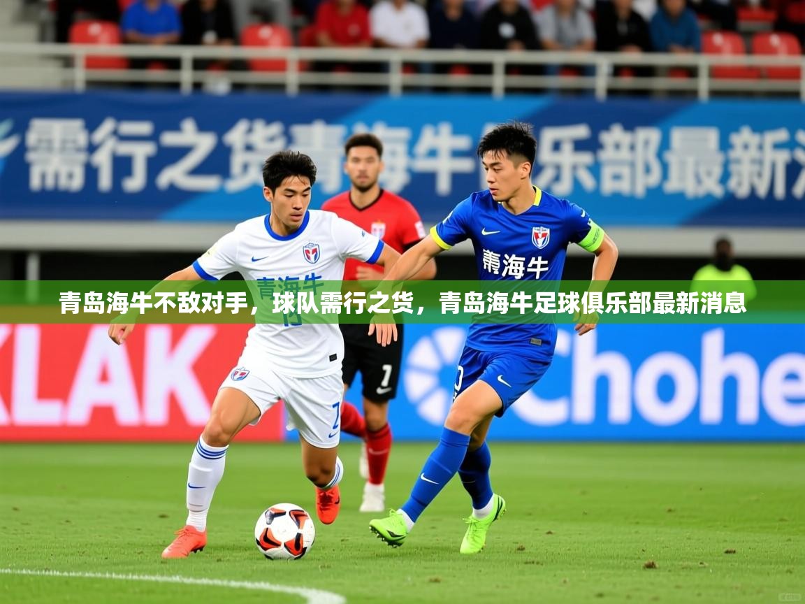 2025迈博体育投注青岛海牛不敌对手,球队需行之货,青岛海牛足球俱乐部最新消息 第2张