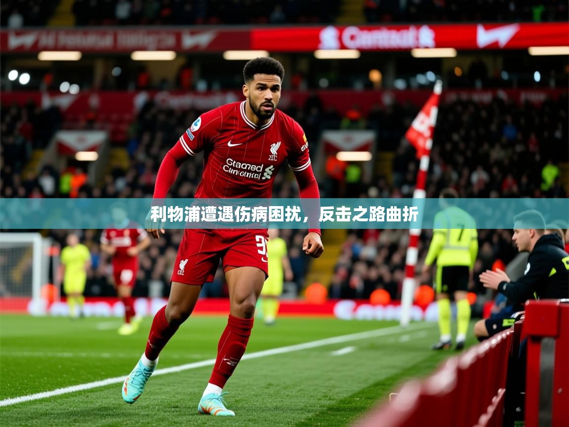 2025迈博体育 源自欧洲利物浦遭遇伤病困扰,反击之路曲折 第2张