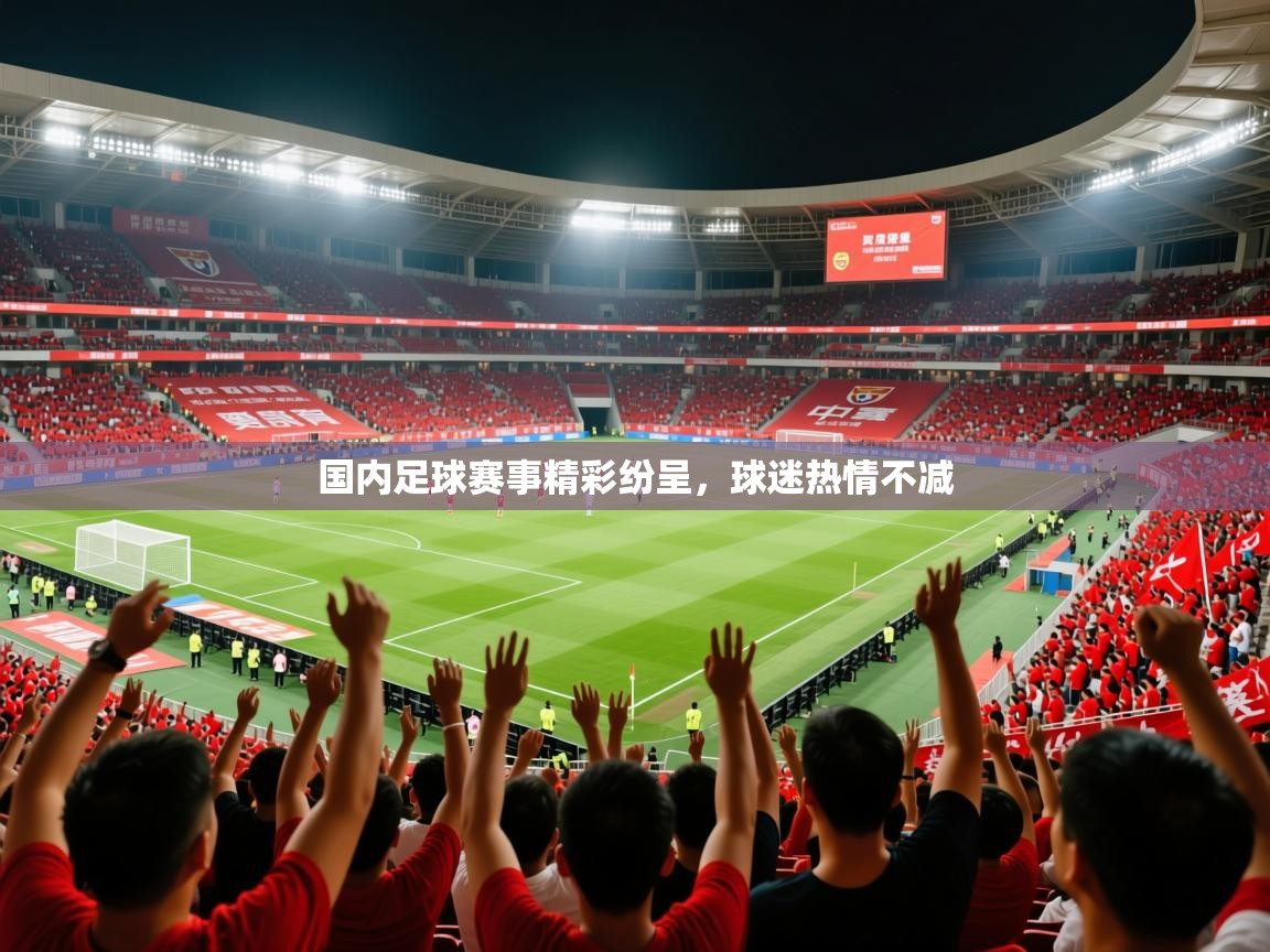 2026迈博体育在线国内足球赛事精彩纷呈，球迷热情不减  第4张
