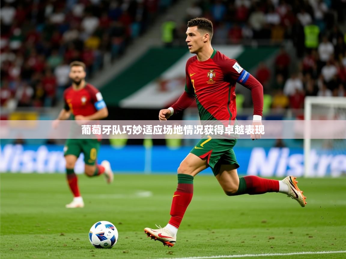 2026迈博体育登录葡萄牙队巧妙适应场地情况获得卓越表现  第3张