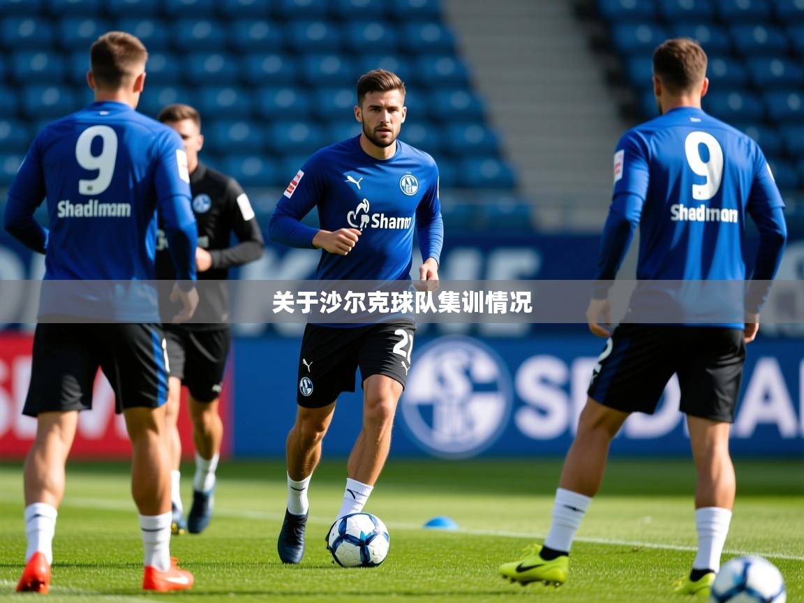 2026迈博体育在线关于沙尔克球队集训情况